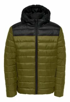 Only & Sons Herren ONSSTEVEN - Übergangsjacke - Fir Green -Only & Sons Geschäft 037fd663033c4e23acdac07820bafac1
