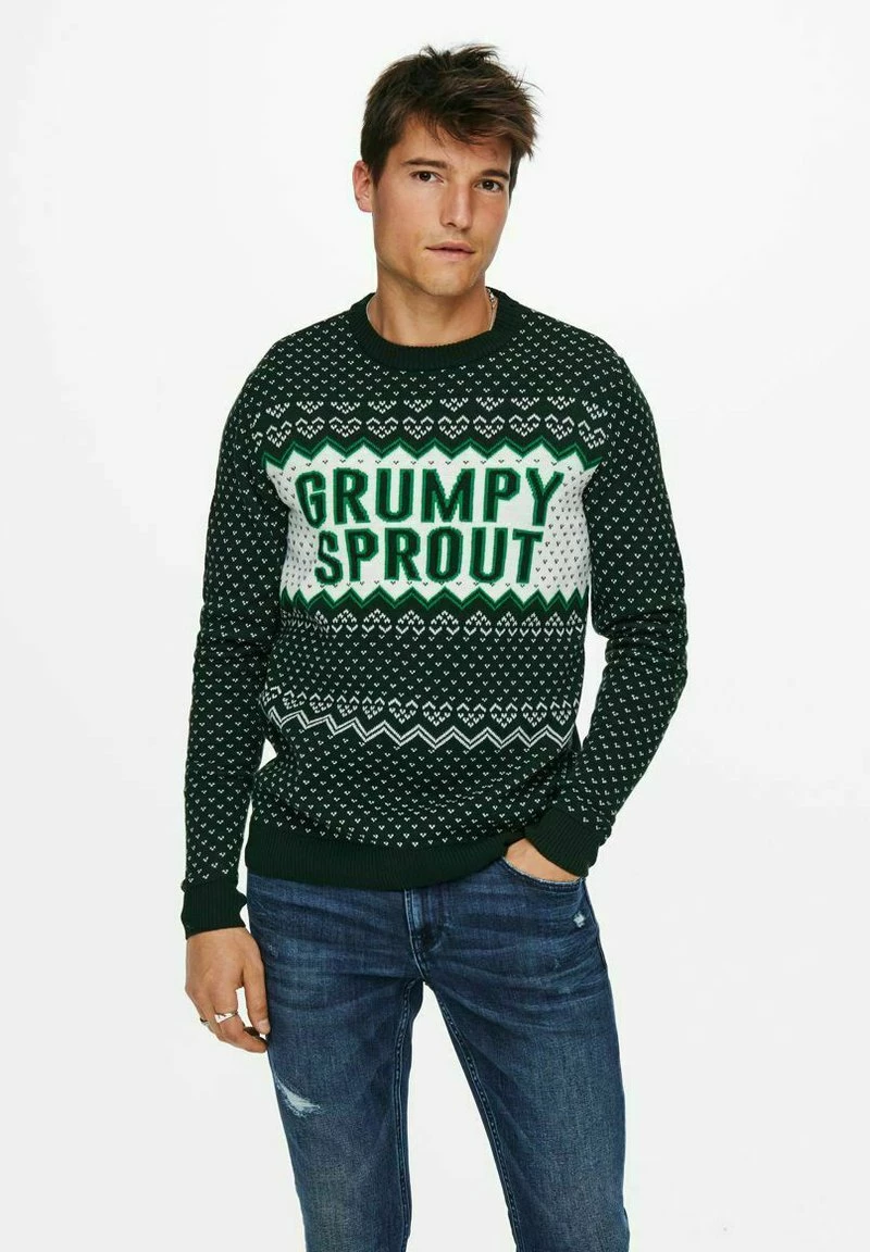 Only & Sons Herren ONSX MAS GRUMPY BEER - Strickpullover - Pine Grove 1 Only & Sons Herren ONSX MAS GRUMPY BEER - Strickpullover - Pine Grove