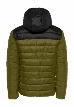 Only & Sons Herren ONSSTEVEN - Übergangsjacke - Fir Green -Only & Sons Geschäft 85b939839eca41faa82b545cf65855e0