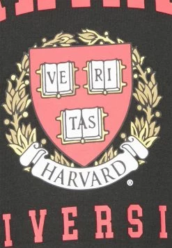 Only & Sons ONSHARVARD TEE - T-Shirt Print - Black | Herren -Only & Sons Geschäft 974b793fee724ec493ba4dcec2ee9d2b