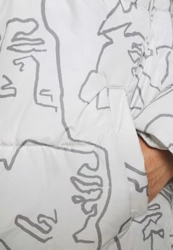 Only & Sons Herren ONSBRAM - Winterjacke - Grey -Only & Sons Geschäft b76bd0328efe4b59b0f9ced907caab1d