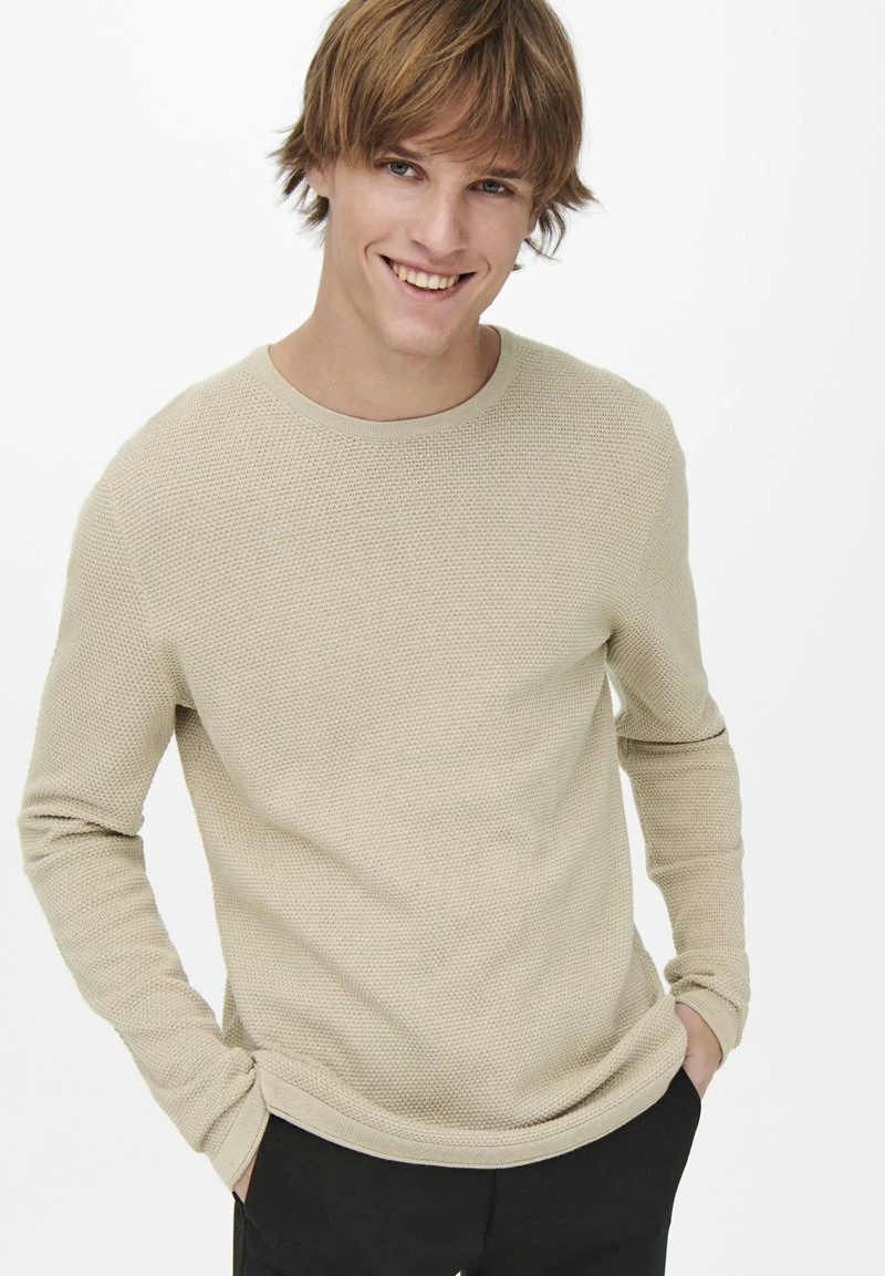 Only & Sons Herren ONSPANTER LIFE CREW - Strickpullover - Beige 1 Only & Sons Herren ONSPANTER LIFE CREW - Strickpullover - Beige